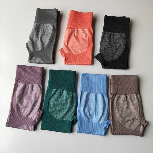 The EP Seamless Legging